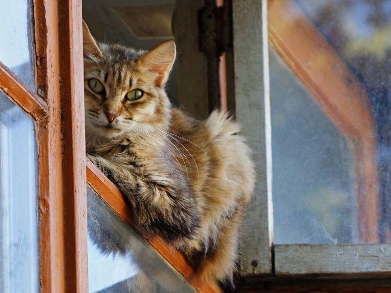 Redes de proteção para condomínios em Campinas