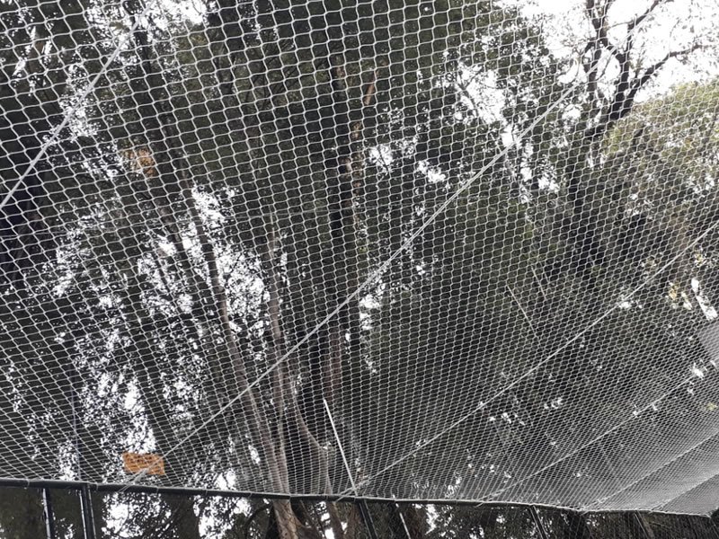 Redes de proteção para canchas em Campinas